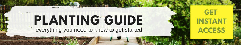 Get your free planting guide