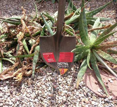 weeding with the Earth Talon shovel