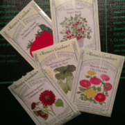 Zinnia seeds from Renees Seeds