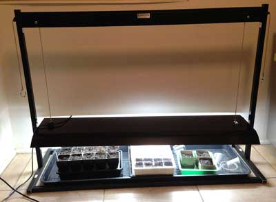 SunLight Garden - tabletop model