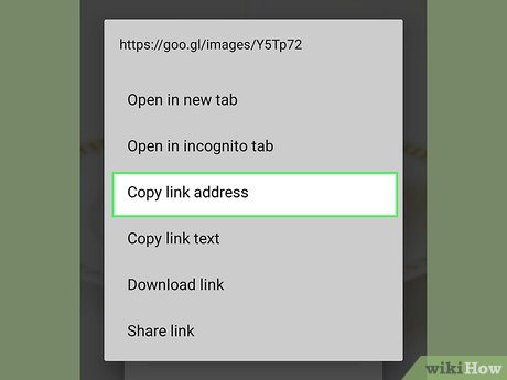Step 9 Copy the link.