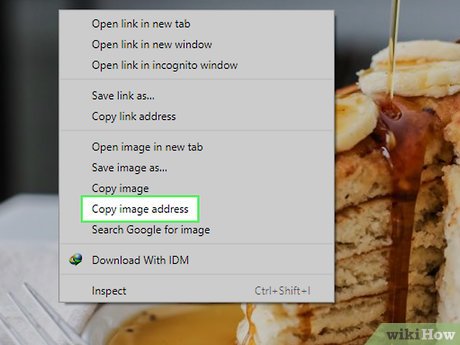 Step 4 Copy the image's URL.