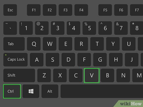 Step 8 Paste your image's URL.