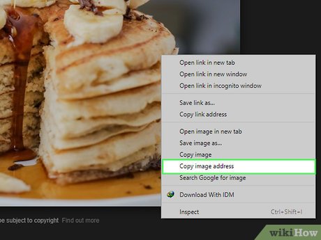 Step 6 Copy the image's URL.