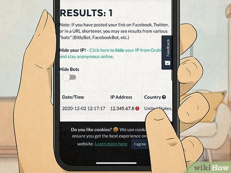 Step 8 After some time, check the results by visiting the Access Link.