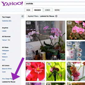 Yahoo Adds Flickr Creative Commons Images to Search