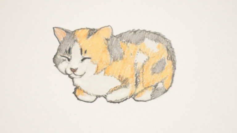 How to : How to Draw a Cat