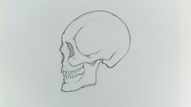 How to : How to Draw a Skull