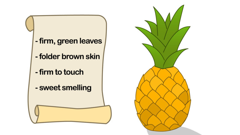 How to : How to Plant & Grow a Pineapple at Home