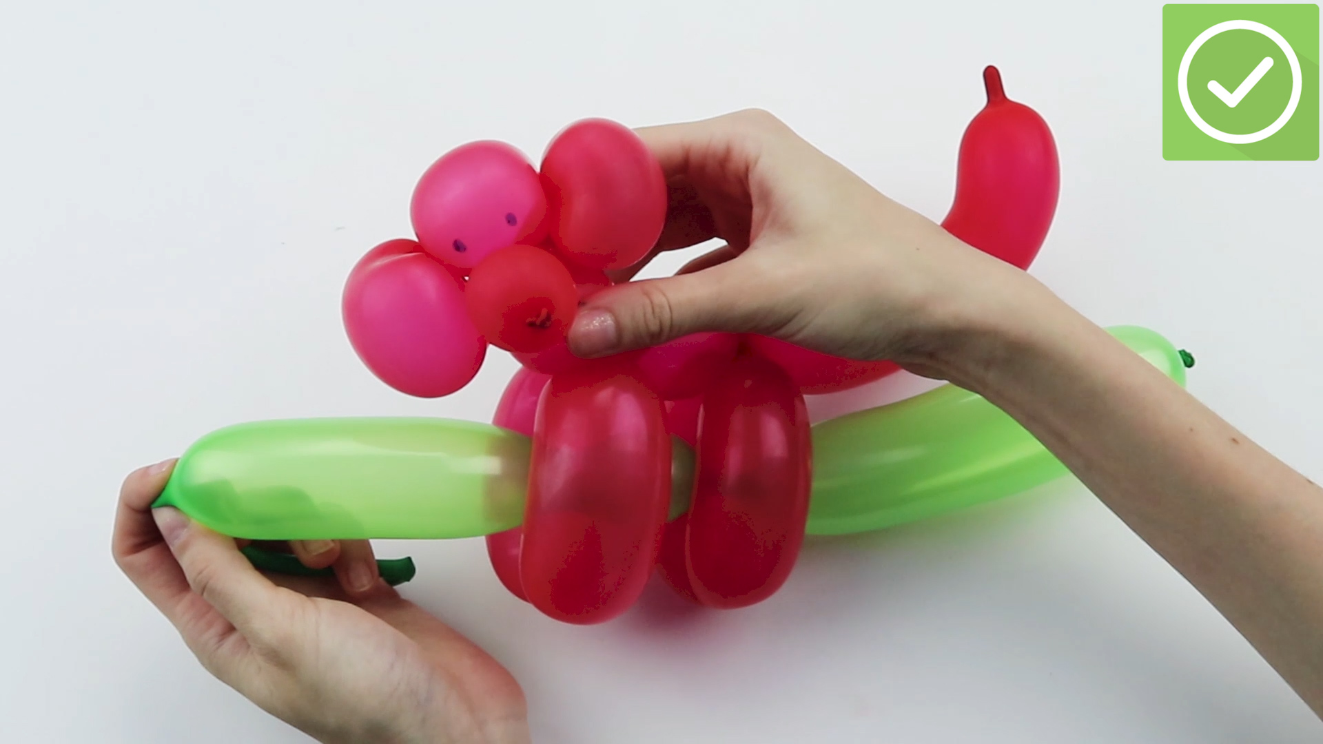 How to : How to Make Balloon Animals: Balloon Dog,