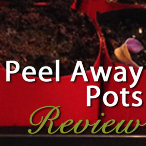 Peel Away Seed Starting Pots Review