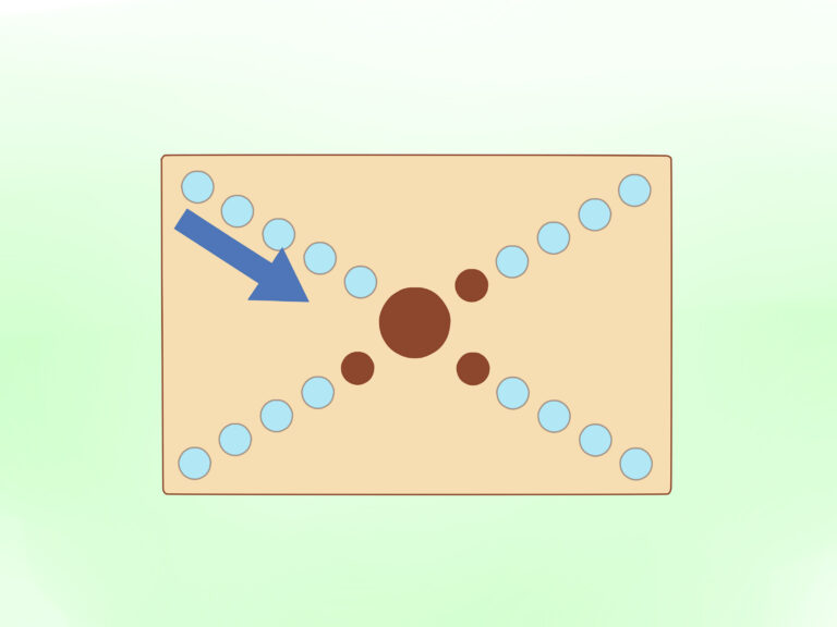 How to : How to Play True American