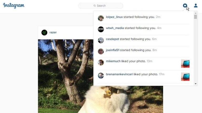 Instagram Rolls Out Web-Based Notifications