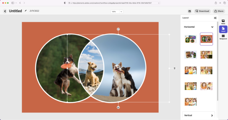 Adobe Unveils Elements Web and Mobile Companion Apps