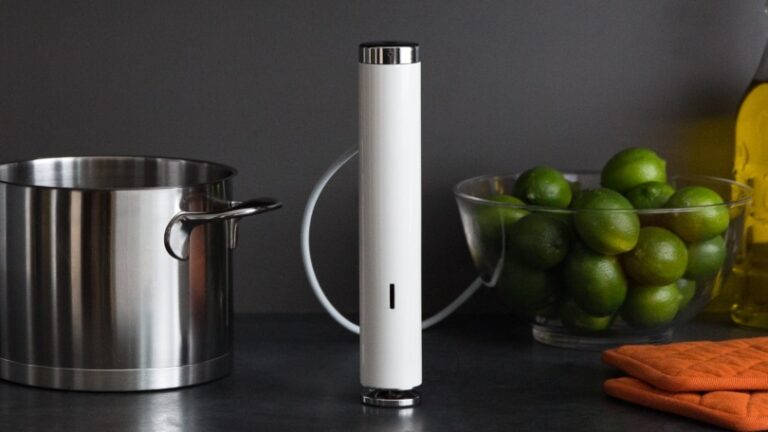 ChefSteps Joule Review