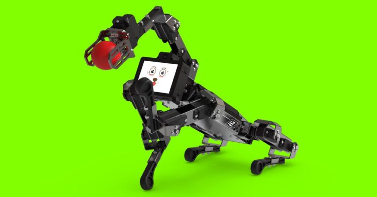 This Robo Pooch Is a Coder’s Companion