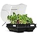 Vegepod Raised Garden Bed Kit