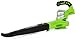 Greenworks 24 V, 2-speed Cordless Sweeper