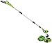 Greenworks Chainsaw Pole Pruner