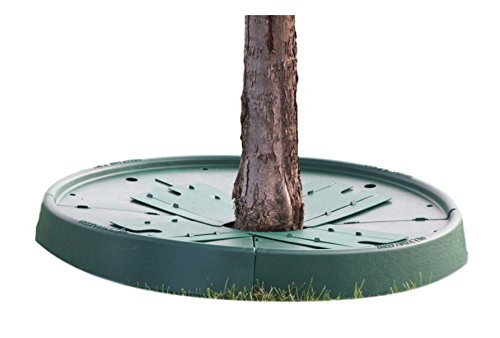 TreePan Forest Green