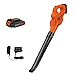BLACK+DECKER 20V MAX Lithium Sweeper (LSW221)