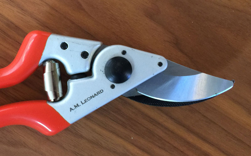 AM Leonard Bypass Pruner angled head