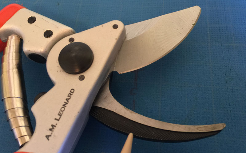 AM Leonard Bypass Pruner sap groove and wire cutter