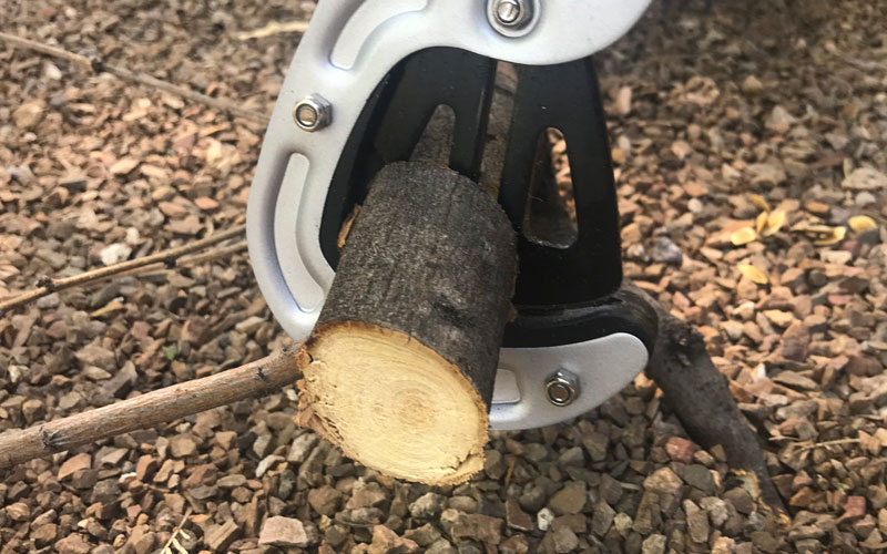 Centuron lopper cutting through deadwood