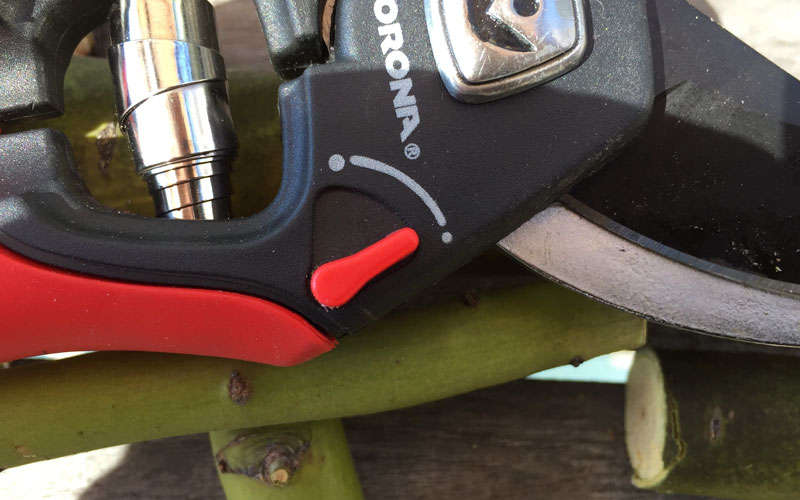 Corona Adjustable Grip sizing lever