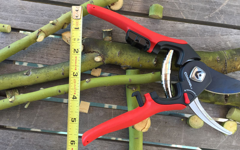 Corona Adjustable pruner handle open 2