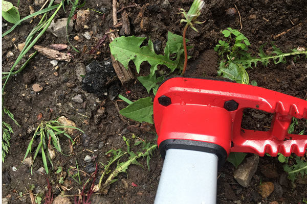 Corona-WeedSLAYER-on-top-of-weed