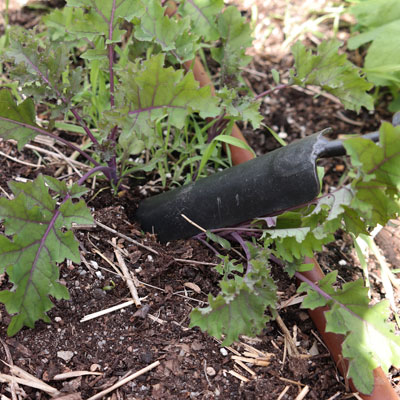 DeWit-RocknRool-Trowel-digging