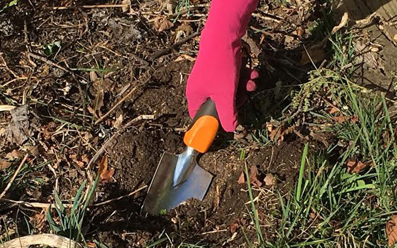 Fiskars Ergo Trowel digging