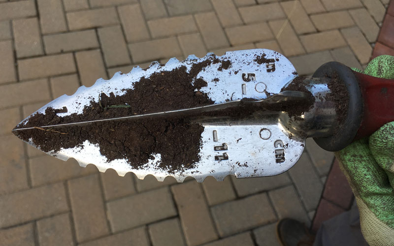 Garden Weasel Multi Use Transplanter with depth gauge