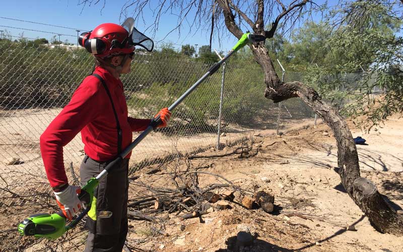 greenworks-chainsaw-pole-pruner-cutting