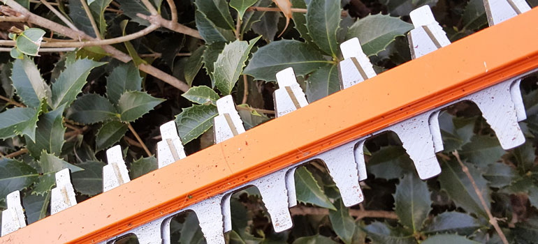 Redback Hedge Trimmer-sharp-teeth