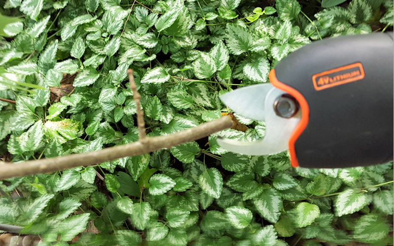 The Black & Decker Model #BD1168 in action