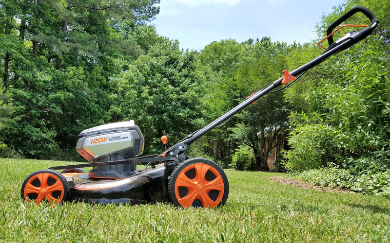 The Redback in its natural habitat