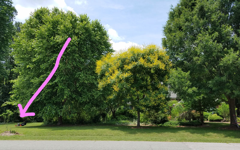 Redback mower cut a quarter of an acre on one battery charge