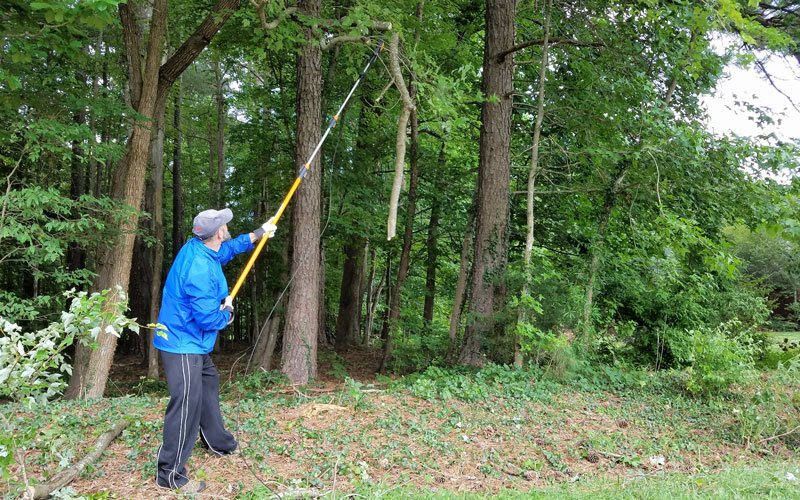 Pole Saw in use Fiskars Chain Drive Extendable Pole saw pruner