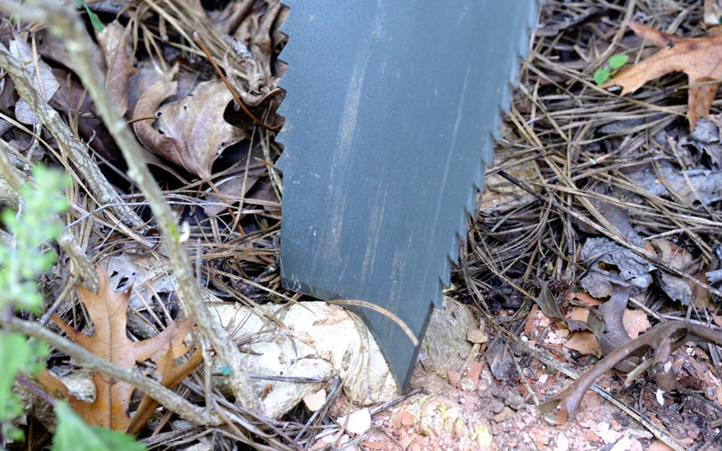 Radius Root Slayer Shovel beginning to cut through root