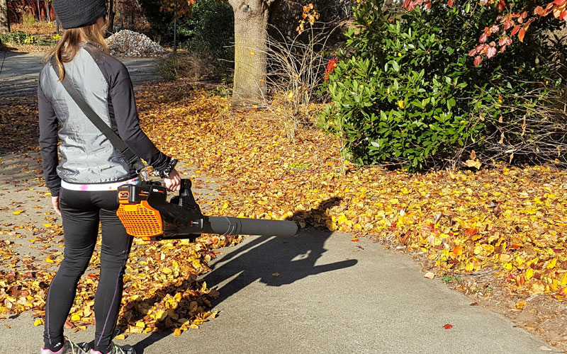 Redback 120V Blower featherweight unit