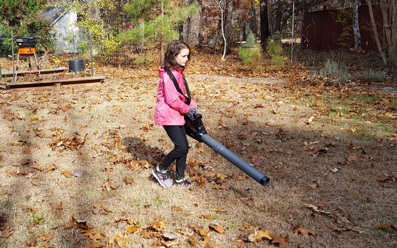 Redback 120V Blower holding and manuvering