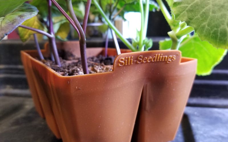 handle on Sili-Seedling seed starting tray