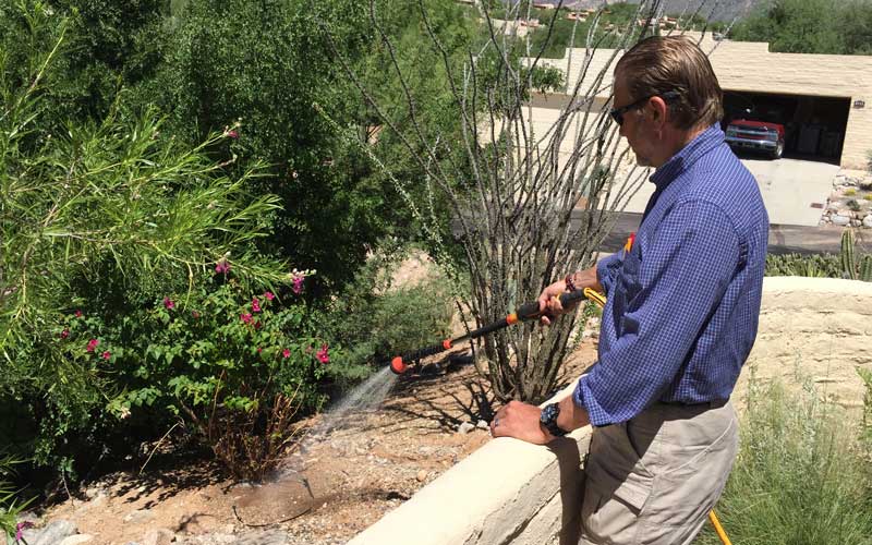 snake-wand-opening-pic