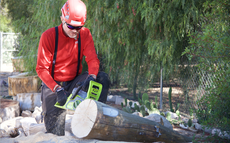 Sun Joe in use small