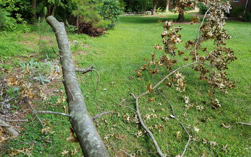 Troy-Bilt Chipper Shredder thick branches