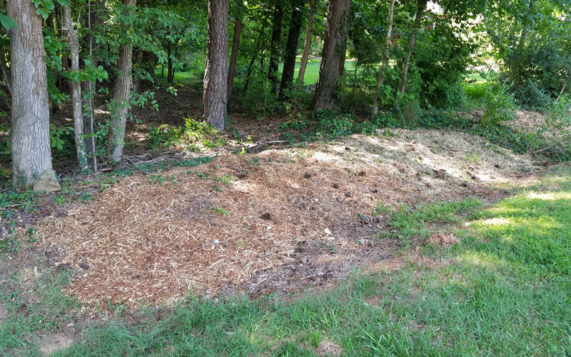 Troy-Bilt Chipper Shredder using the mulch bag