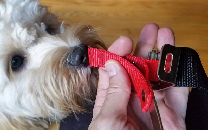 Yard-Force-120v-string-trimmer-harness-clip