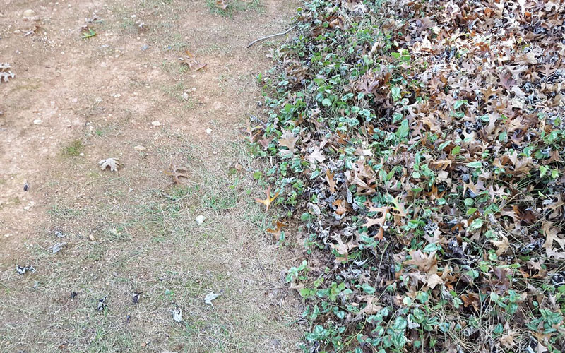 Yard Force Blower ground cover